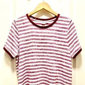 GAP Striped T-Shirt Velvet Trim NWOT - Large